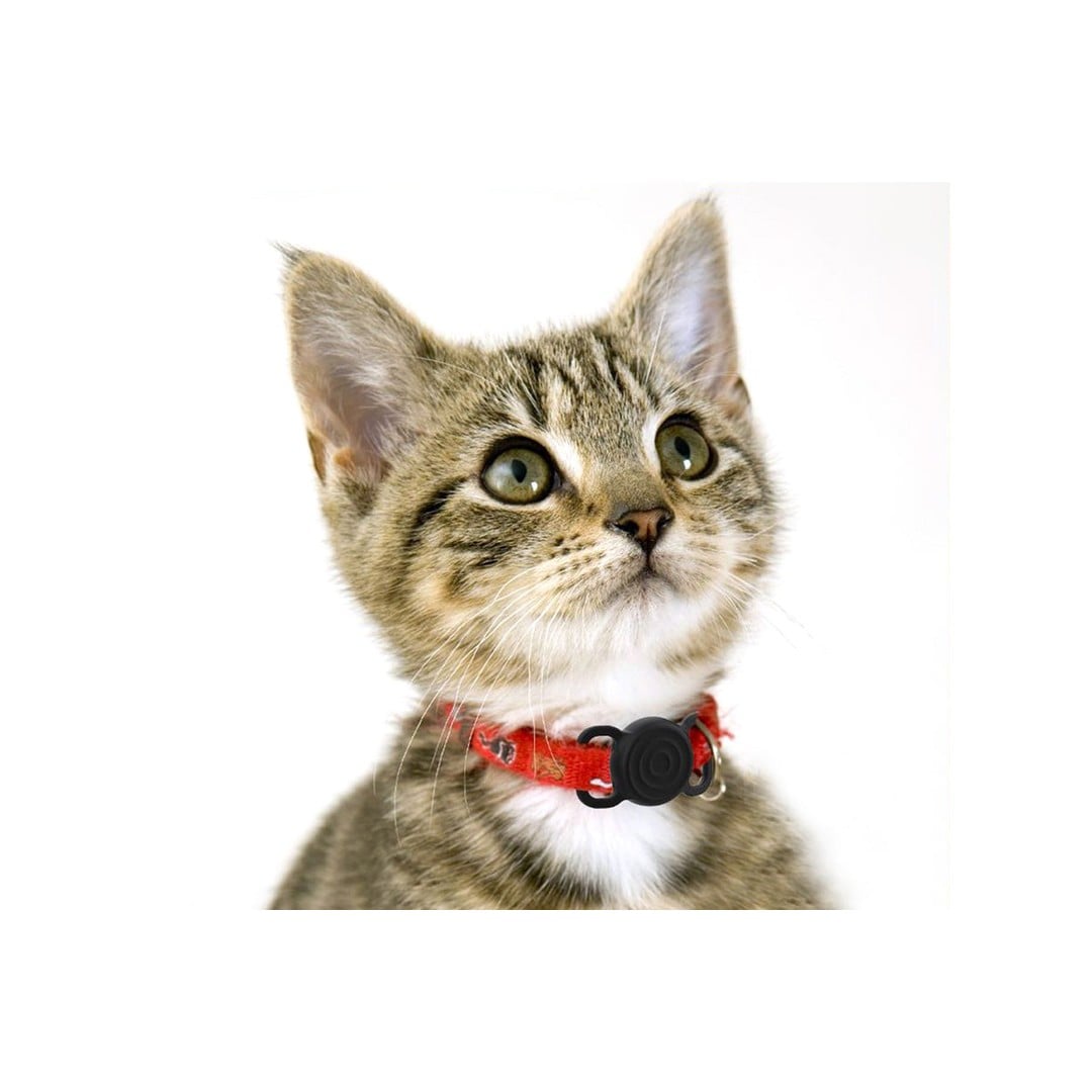 Pet Smart Tracker photo 4